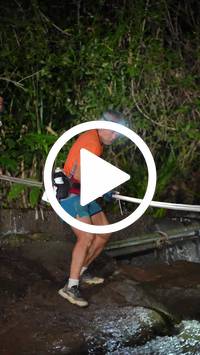 BIB:  <button type="button" onclick="openModal(27712312)" class="btn btn-primary btn-sm float-right" data-toggle="modal" data-target=".modal-high-quality">
                <i class="fa fa-download"></i> Download
                </button>